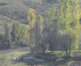 gur1